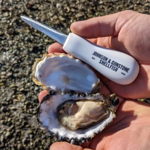 Plastic Shucking Knife