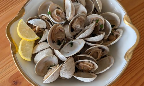 littleneck-clams-1