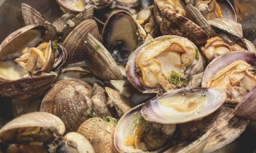 manila-clams-5