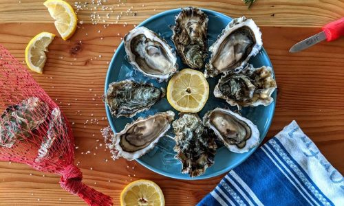 quinty-point-oysters-4